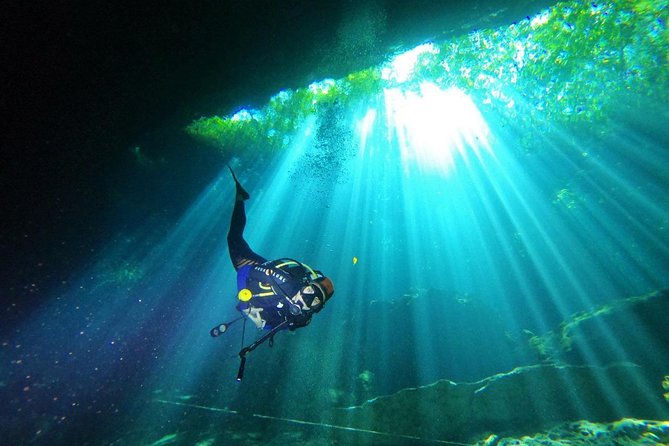 3 days diving in cenotes for certified divers - Price and Logistics: Where the Real Value Comes From