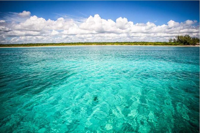 4H 42' Azimut Yacht All-Inclusive from Tulum & Playa del Carmen. - Homemade ceviche lunch: the food that turns the day into a memory