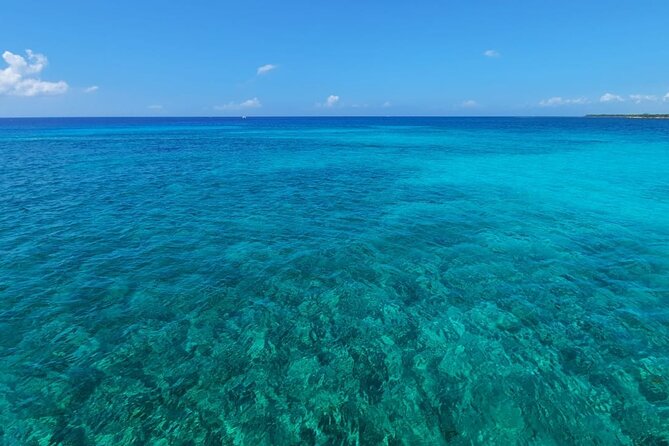 4H Luxury 44' Catamaran All-Inclusive in Tulum & Playa del Carmen - In-Ha Reef snorkeling time: how to make the most of it