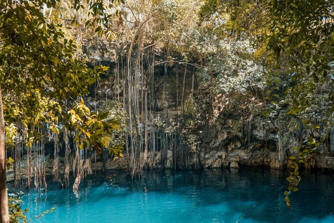 4x1 Explore TULUM Coba, Cenote and Mas, with transportation + Lunch. - Cobá Archaeological Zone: Jungle Walk and the Area’s Tall Pyramid