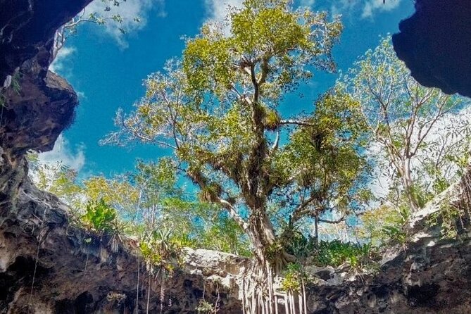 5-Day Riviera Maya and Yucatan Tour, Mexico - Cenote tips that keep the experience fun
