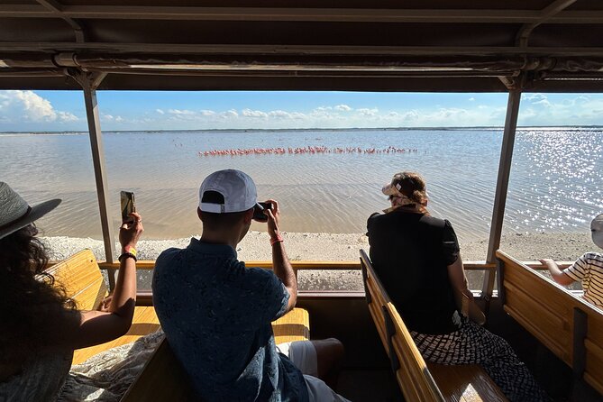 Admission Ticket to Safari in the Pink Lagoons of Las Coloradas - Pink lagoons: the signature view and what to look for