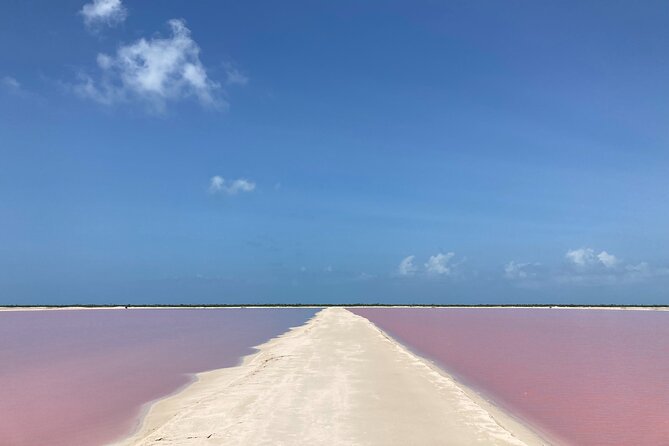 Admission Ticket to Safari in the Pink Lagoons of Las Coloradas - Price and value: what your ticket really covers