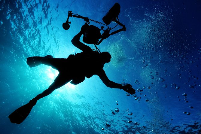 Advanced Open Water Diver course PADI in Playa del Carmen - What Skills You’ll Practice: Deeper-Water Planning and Compass Navigation
