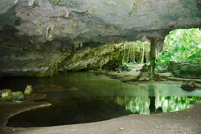 Adventure in ATV, Cenote swimming, snack & transportation - Who this tour is best for (and who should rethink it)