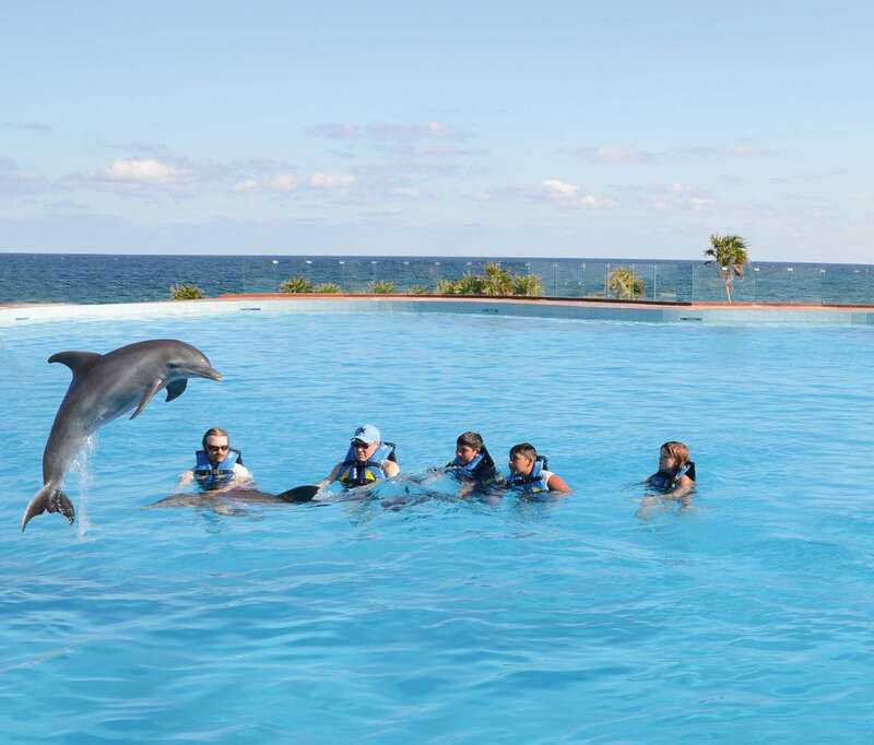 Akumal: Dolphin Encounter - Key things to know before you go