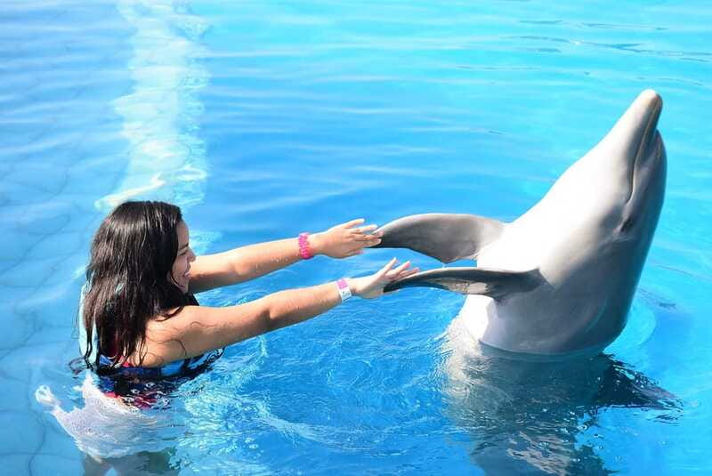 Akumal: Dolphin Encounter - Price and value check: is $99 worth it?