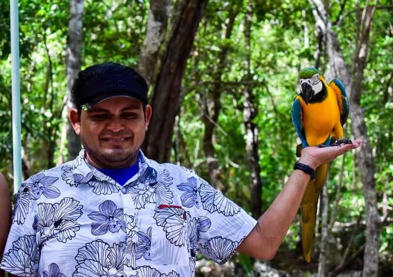 Akumal: Explore the Monkey Sanctuary, ATV Circuit and Cenote - Akumal Monkey Sanctuary: rescued animals and real protection work