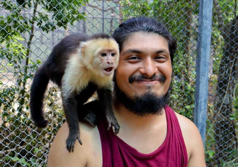 Akumal: Explore the Monkey Sanctuary, ATV Circuit and Cenote - ATV Circuit Through the Jungle: short ride, big adrenaline