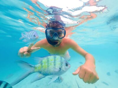 Akumal: Swim with Turtles in a Natural Paradise - The 1.5-hour snorkeling flow: from Oxxo Mar Azul to turtle time