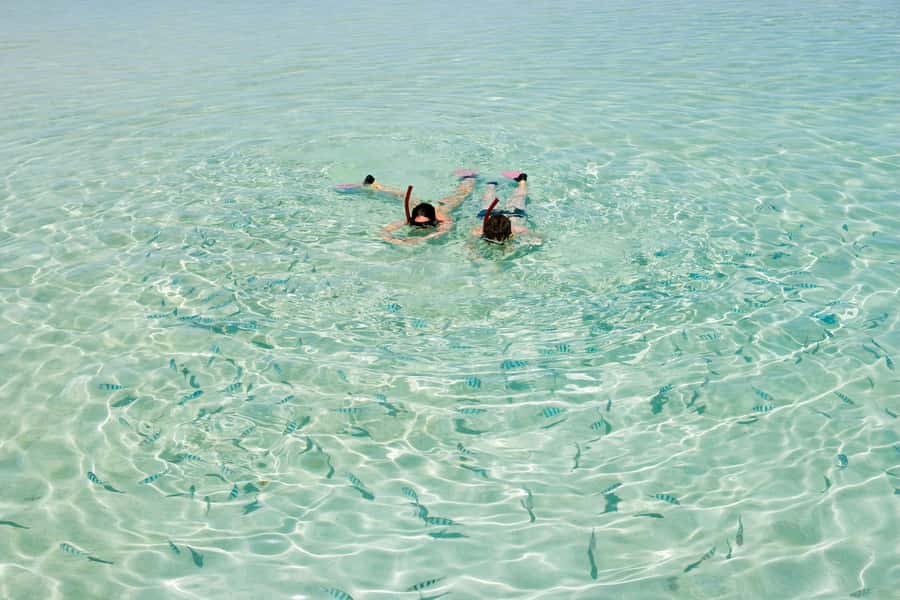 Akumal: Swim with Turtles in a Natural Paradise - Who should book this (and who should skip it)