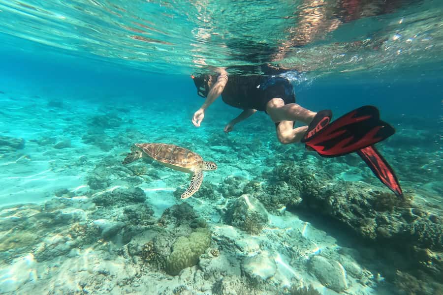 Akumal: Swim with Turtles in a Natural Paradise - What to bring, and what not to do in the water