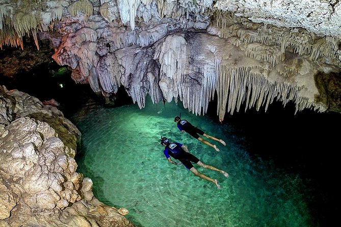 Akumal Turtles, Snorkel Tour from Cancun or Riviera Maya - The guide and the group size: where the experience usually shines