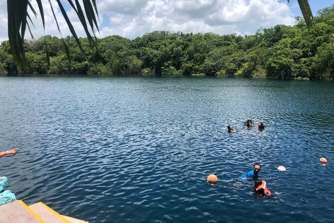 Bacalar Lagoon! Kayaks & Cenote Azul From Playa Del Carmen - Lagoon Kayaking: The Point of the Day