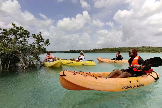 Bacalar Lagoon! Kayaks & Cenote Azul From Playa Del Carmen - Cenote Azul: What You’ll Do and How to Prepare