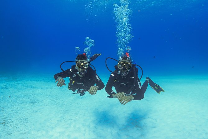 Basic Diver - Bautismo - Basic Diver Bautismo in Playa del Carmen: what this day actually delivers