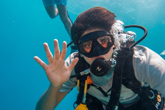 Basic Diver - Bautismo - Equipment, insurance, and what you’re really paying for