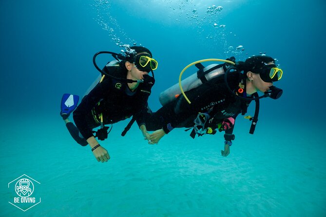 Basic Diver - Bautismo - Who this is best for (and who should reconsider)