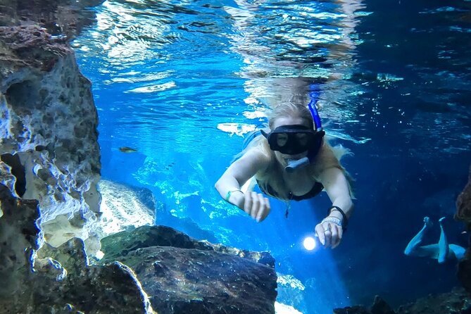 Best in Class: Private Snorkeling Xpedition - Private Snorkeling in Playa del Carmen: What This Day Really Feels Like