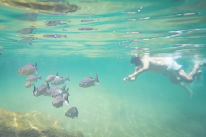 Best in Class: Private Snorkeling Xpedition - Who This Tour Fits Best (And Who Might Want to Think Twice)