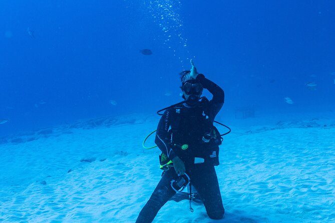 Bull Shark Dive in Playa del Carmen – Dive Machine Experience - Safety, Inclusion, and What “Universal Inclusion” Means in Real Life