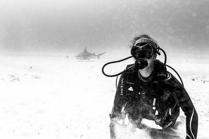 Bull Shark Dive in Playa del Carmen – Dive Machine Experience - Price and Value: Is $199 a Good Deal?