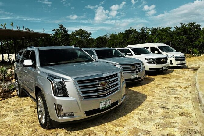 Cancun Airport: Private Transfers From/To Akumal Half Moon Bay - Family Travel: Infant Seats on Request and Small-Group Comfort