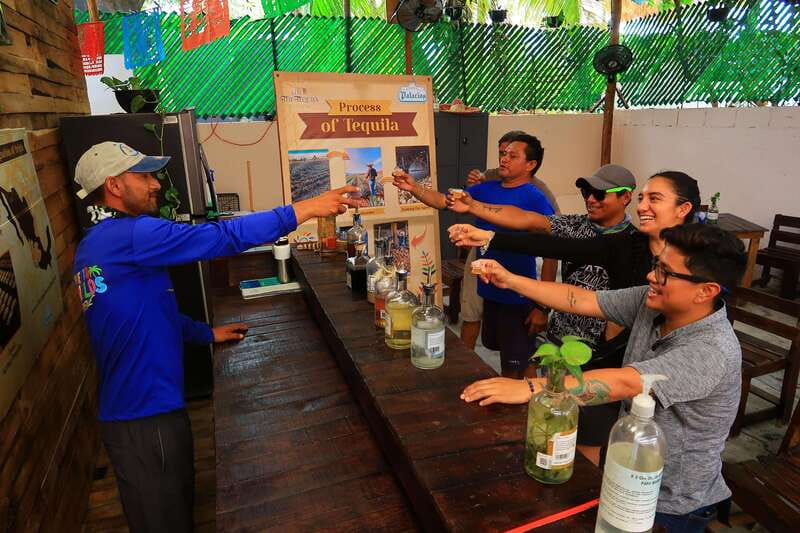 Cancún: Beachside Tacos & Town Tour with tequila tasing - Maya-Style Tacos Near the Flea Market and Cochinita Pibil