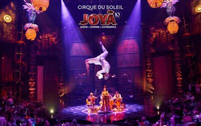 Cancún: Cirque du Soleil JOYÀ Ticket - Choosing your ticket: show-only vs premium vs VIP value