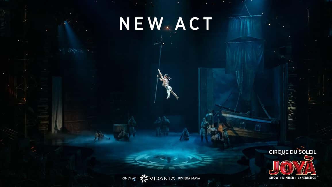 Cancún: Cirque du Soleil JOYÀ Ticket - Service, reception, and the little moments that change your night