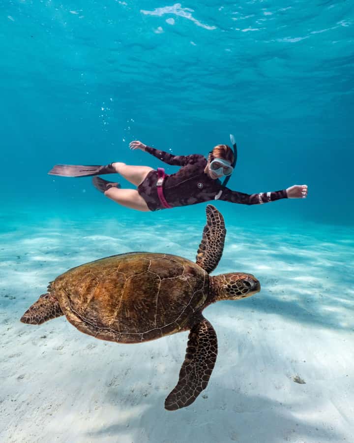 Cancun: Explore Tulum, swim with turtles, cenote, and snorkel in caves - Key Things to Know Before You Go