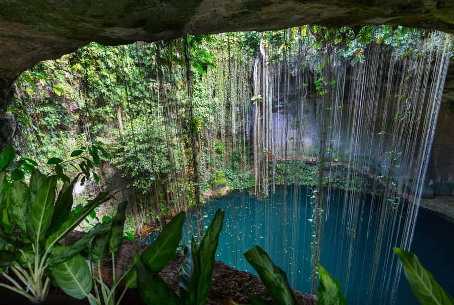 Cancun: Explore Tulum, swim with turtles, cenote, and snorkel in caves - Akumal Beach Snorkel for Sea Turtles (Sustainably)