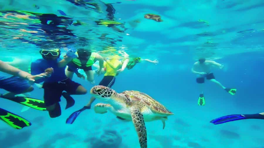 Cancun: Explore Tulum, swim with turtles, cenote, and snorkel in caves - Who Should Skip This Tour (And Who Will Love It)