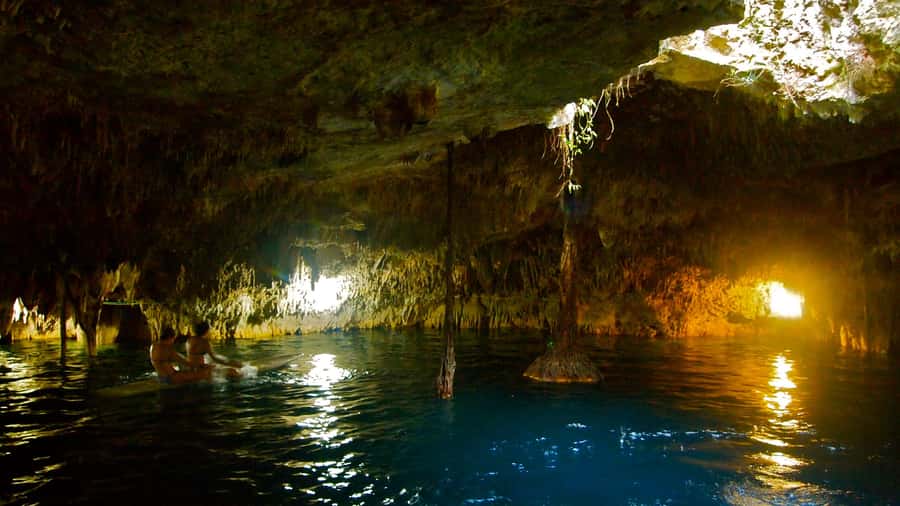 Cancun: Explore Tulum, swim with turtles, cenote, and snorkel in caves - Guides and Team: You’ll Likely Be in Good Hands