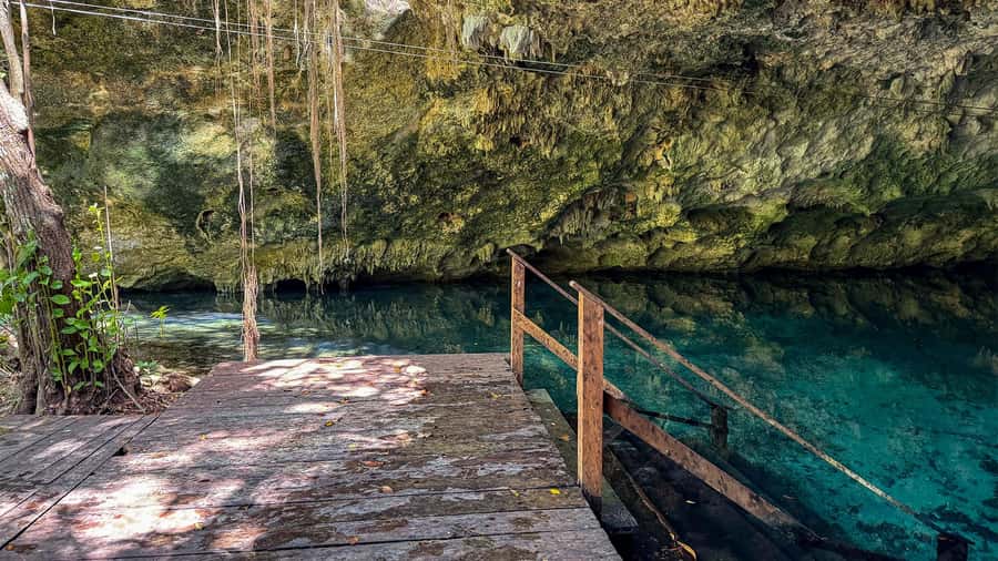 Cancun: Explore Tulum, swim with turtles, cenote, and snorkel in caves - Mayan Chocolate and Tequila: Small Stops, Real Flavor