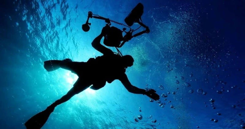 Cancun: MUSA Diving for certified divers morning dive trip - Key takeaways before you book