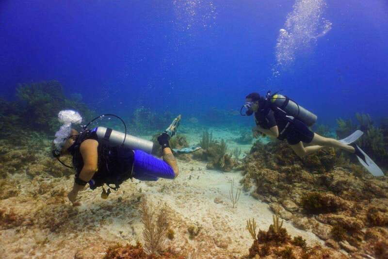 Cancun: MUSA Diving for certified divers morning dive trip - Underwater Art at MUSA: What You’re Actually Seeing