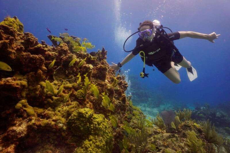 Cancun: MUSA Diving for certified divers morning dive trip - Boat Ride and On-Board Team: Why It Matters More Than You Think