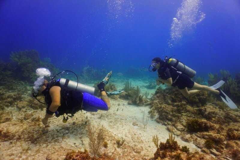 Cancun: MUSA Diving for certified divers morning dive trip - MUSA vs. Reefs: What Happens If Visibility Changes