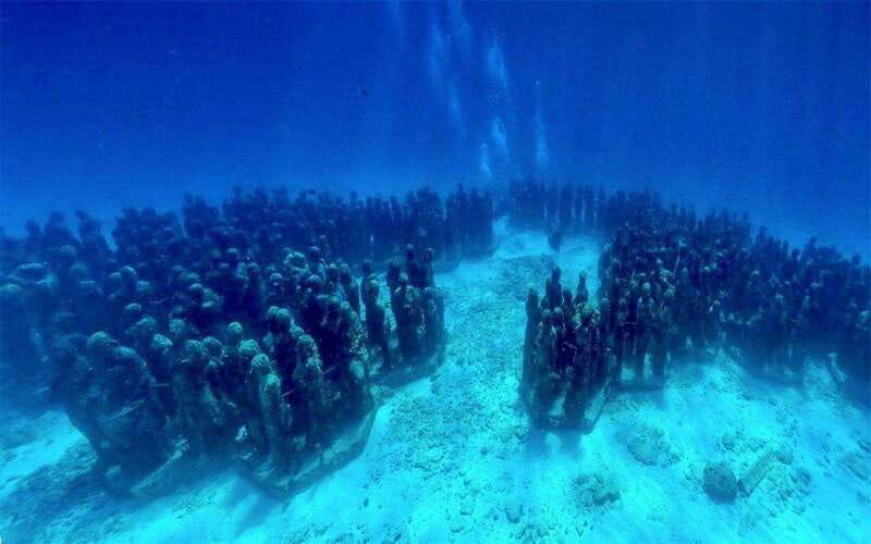 Cancun: MUSA Diving for certified divers morning dive trip - The 3.5-Hour Morning Flow: Pickup to Return to Your Hotel