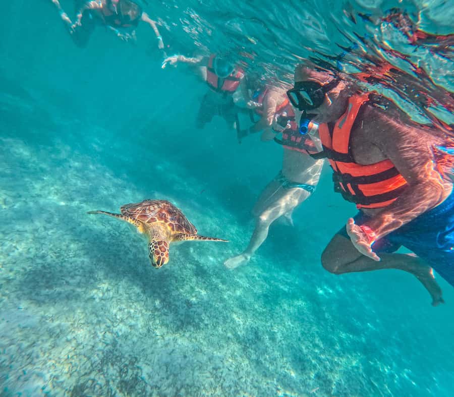 Cancun: Tulum Ruins, Akumal Turtles, Cenote & Caves Tour - Why this Cancun-to-Tulum-to-Akumal day tour feels efficient