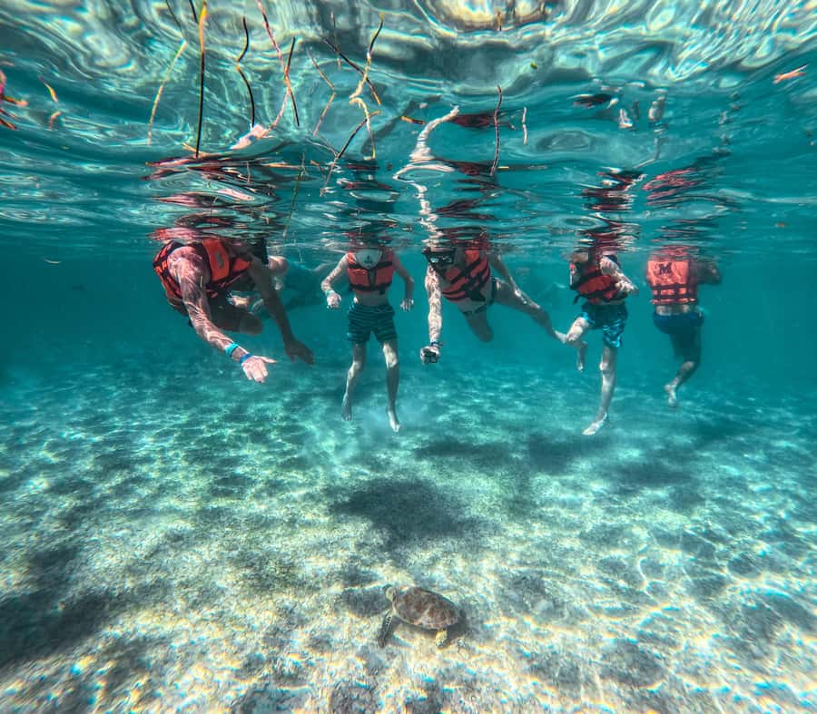 Cancun: Tulum Ruins, Akumal Turtles, Cenote & Caves Tour - 7:00 am at Plaza Las Perlas: how the early start changes Tulum