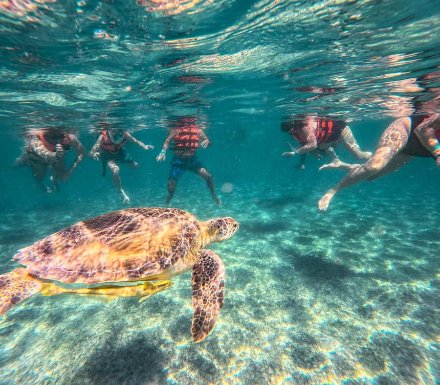 Cancun: Tulum Ruins, Akumal Turtles, Cenote & Caves Tour - Cenote Nohoch Nah Chich: sacred calm, cave swimming option