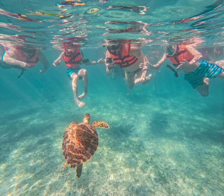 Cancun: Tulum Ruins, Akumal Turtles, Cenote & Caves Tour - Price and value: what the $83 covers (and what to budget extra)