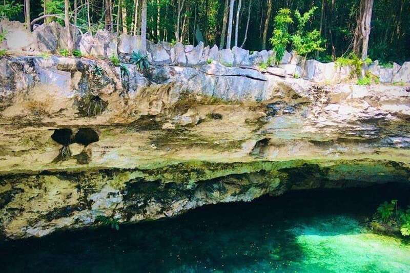 Casa Tortuga Park: Cenote Tour - Casa Tortuga Park: The Guided Cave + Jungle Part