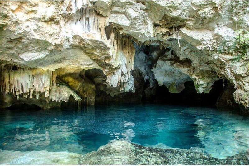 Casa Tortuga Park: Cenote Tour - Water Time: Snorkeling, Marine Life Viewing, and Safety Basics
