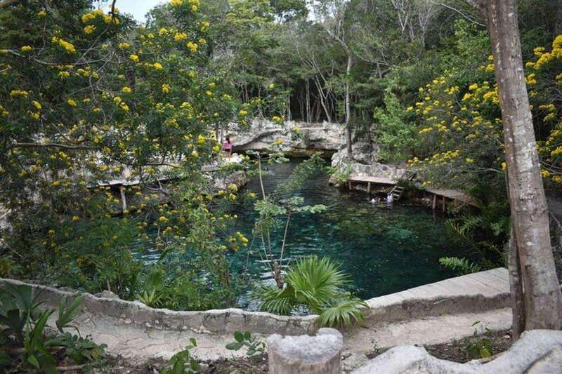 Casa Tortuga Park: Cenote Tour - Who This Cenote Tour Suits Best
