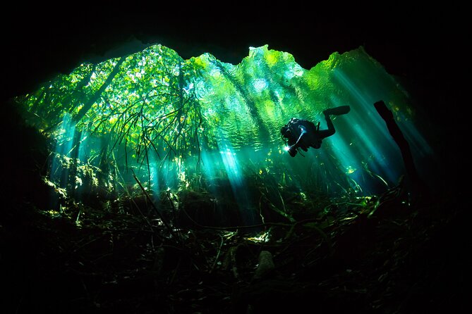 Cenote Diving - 2 Tank Dive Trip for Certified Divers - Truck ride to Chac Mool or Dos Ojos (and why it matters)