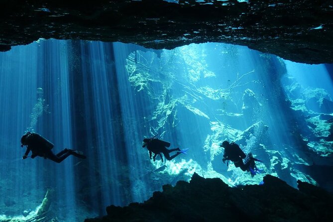 Cenote Diving - 2 Tank Dive Trip for Certified Divers - Price and what actually affects your total on the day