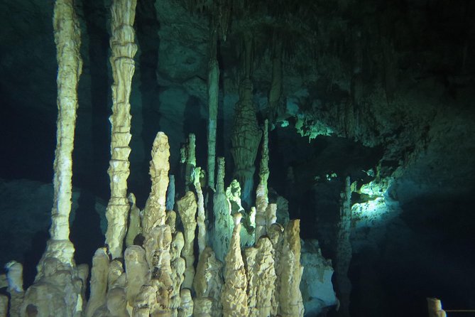 Cenote diving Dream Gate - Dream Gate Stalactites: What You’re Really Paying For